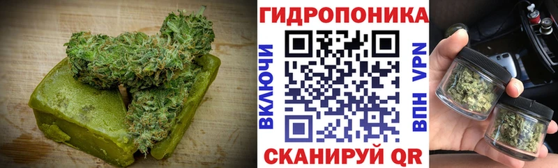 Canna-Cookies марихуана Купить где Суворов