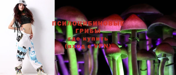 тгк Арсеньев