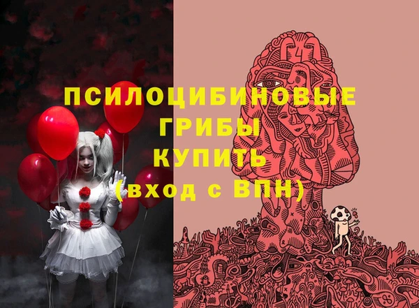 тгк Арсеньев