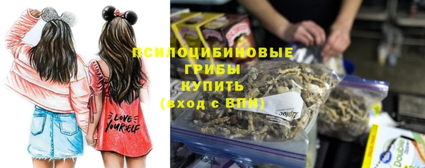 дживик Армянск