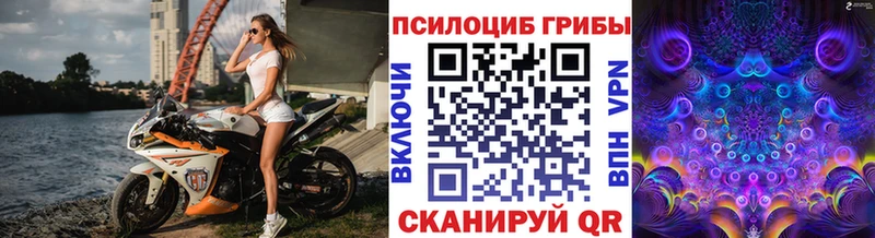 Галлюциногенные грибы ЛСД  Купить  Суворов 